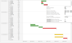 Featured image of post RAG Flag, Budget Availability Control (AVC Check) and Gantt in Project Management